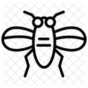 Insect Black Outline Icon 아이콘