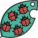 Insect Infestation  Symbol