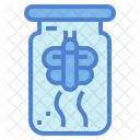 Insect Jar  Icon