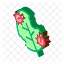 Insect Plants  Icon