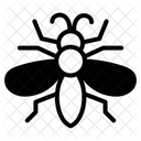 Insecte Icône