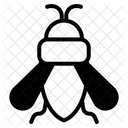 Insecte Icône