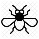 Insecte Icône