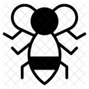 Insecte Icône