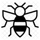 Insecte Icône