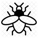 Insecte Icône