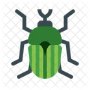 Insecte Bug Animal Icône