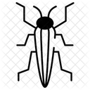 Insecte  Icône