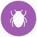 Insectos Mariquita Error Icon