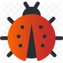 Insecto Bug Primavera Icono