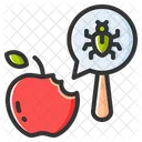 Insecto frutal  Icono