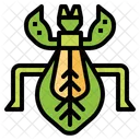 Insecto hoja  Symbol