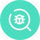 Lupa Bug Busqueda Vidrio Icono