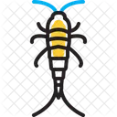 Pez Plateado Insecto Nocturno Icono