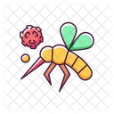 Insects Bug Nature Icon