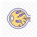 Inside Of Human Eye Human Eye Icon