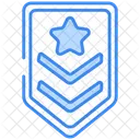 Insignia Icon