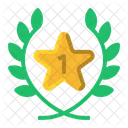 Insignia de la primera estrella  Icono