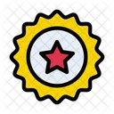 Insignia de estrella  Icono