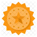 Insignia de estrella  Icono