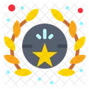 Insignia de estrella  Icon