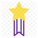 Insignia de estrella  Icono