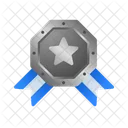 Insignia De Estrella Plateada Hexagonal Icono