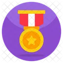 Insignia Militar Insignia De Estrella Insignia De Clasificacion Icono