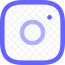 Asset Icon
