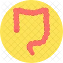 Instestine  Icon