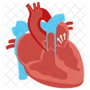 Insuficiencia Valvular Mitral Insuficiencia Valvular Valvula Mitral Icono