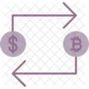 Bitcoin Criptomoneda Moneda Icono