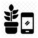 Interests  Icon