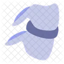 Bone Internal Human Icon