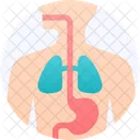 Internal Healthcare Medical Icon