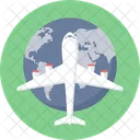 International Delivery Delivery Shipping Icon