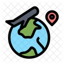 International Flight  Icon