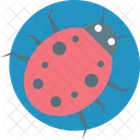 Internet Bug  Icon