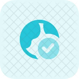 Internet Check  Icon