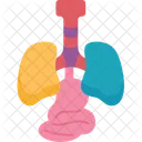 Interoception  Icon