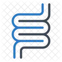 Intestin Colon Organes Icône