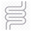 Intestin Colon Organes Icône