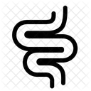 Intestinal Tract  Icône