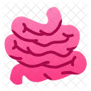 Intestine Human Organ Icon