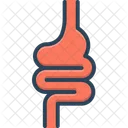 Intestine Appendix Human Icon