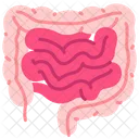 Intestine Appendix Digestive System Icon