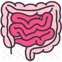 Intestine Body Internal Icon