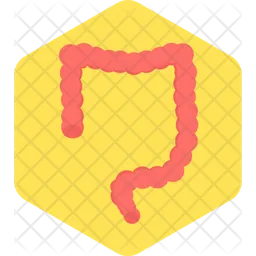 Intestine  Icon