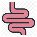 Intestine  Icon