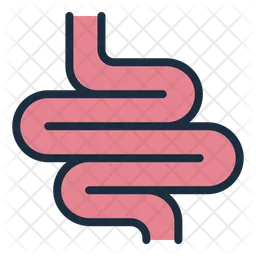 Intestine  Icon